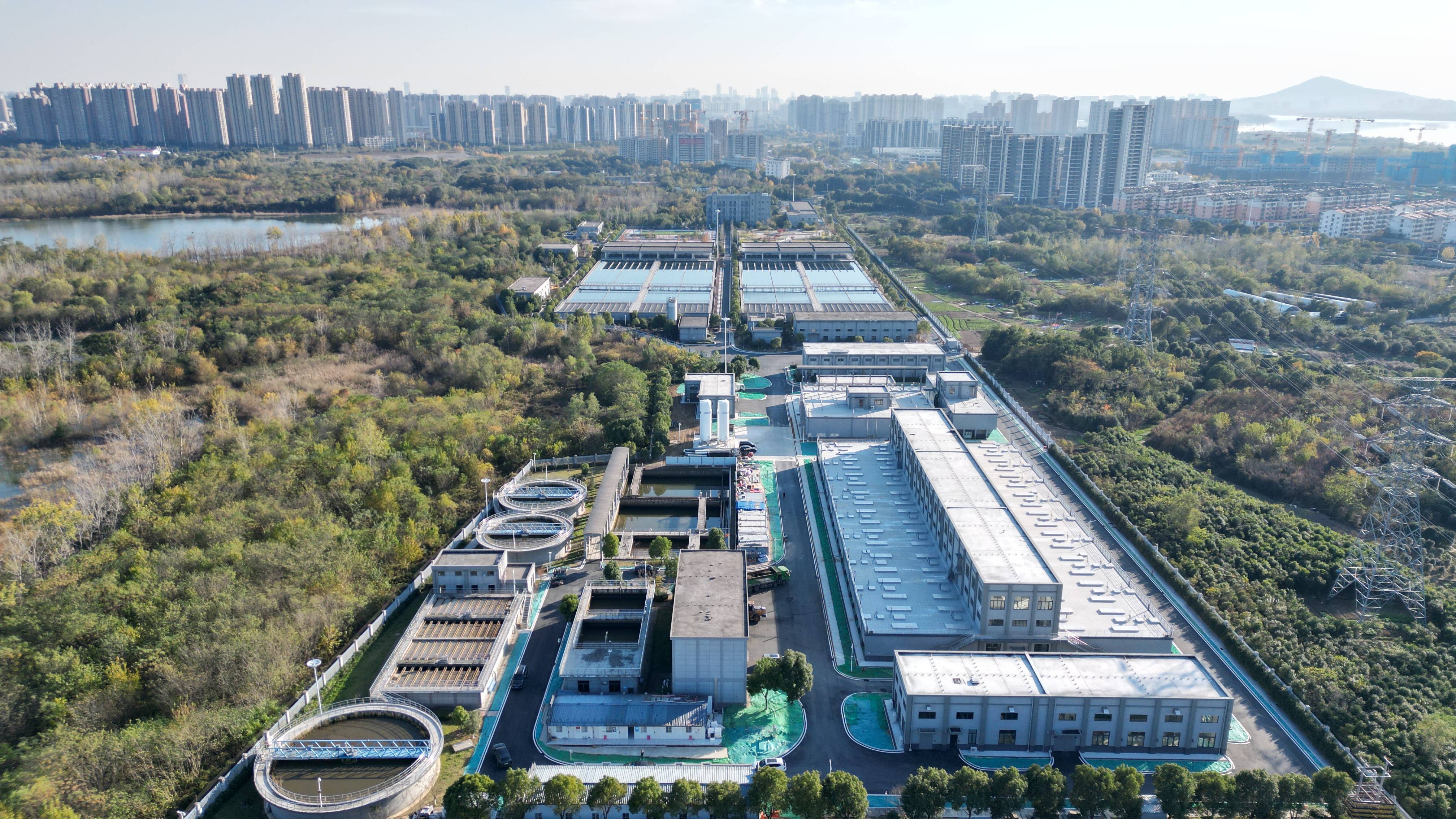 荆州市合肥专业企业价值增长(合肥市重点企业产业目录)