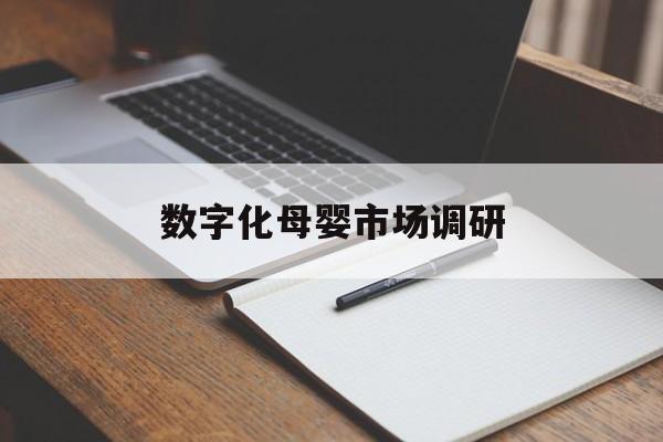 荆州市数字化母婴市场调研(数字化母婴市场调研报告)